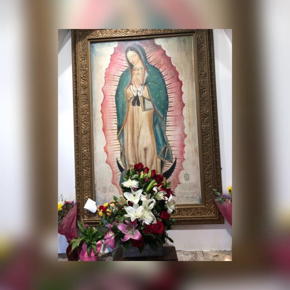 Meet your Posher, Emilio